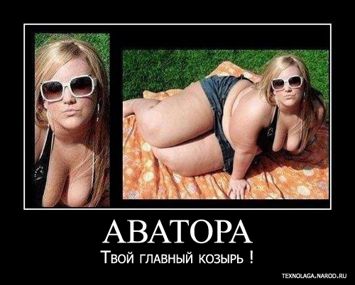 смешные студенческие, общаговские картинки,  демки, смешные студенты
