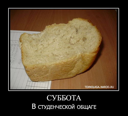 смешные студенческие, общаговские картинки,  демки, смешные студенты