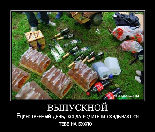 смешные студенческие, общаговские картинки,  демки, смешные студенты