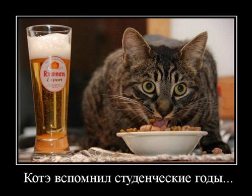 демотиваторы студенты