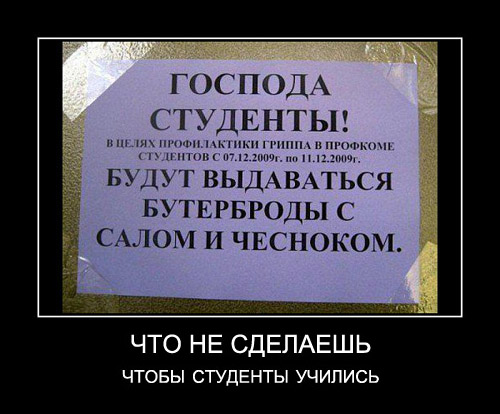 демотиваторы студенты