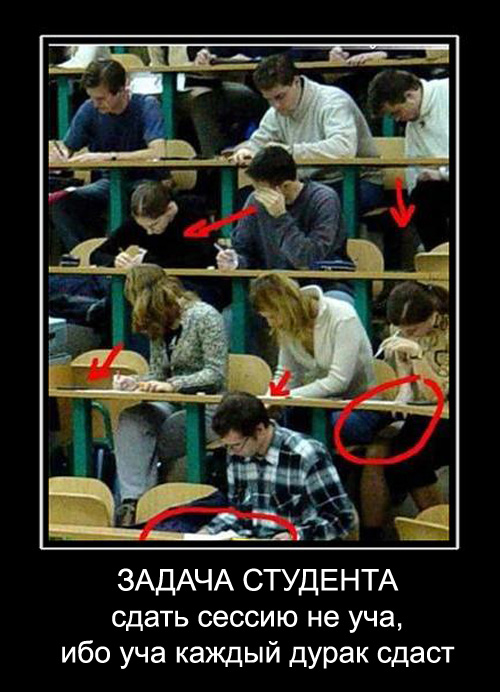 демотиваторы студенты