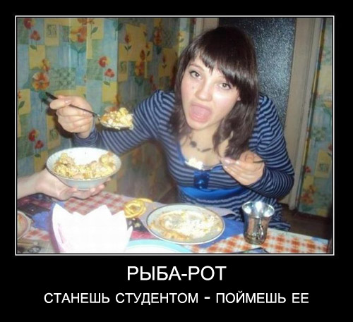 демотиваторы студенты